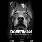 20-Doberman-lespas