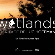 Wetlands-lespas-8