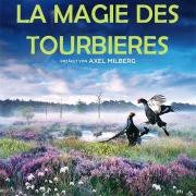 magie-des-tourbieres