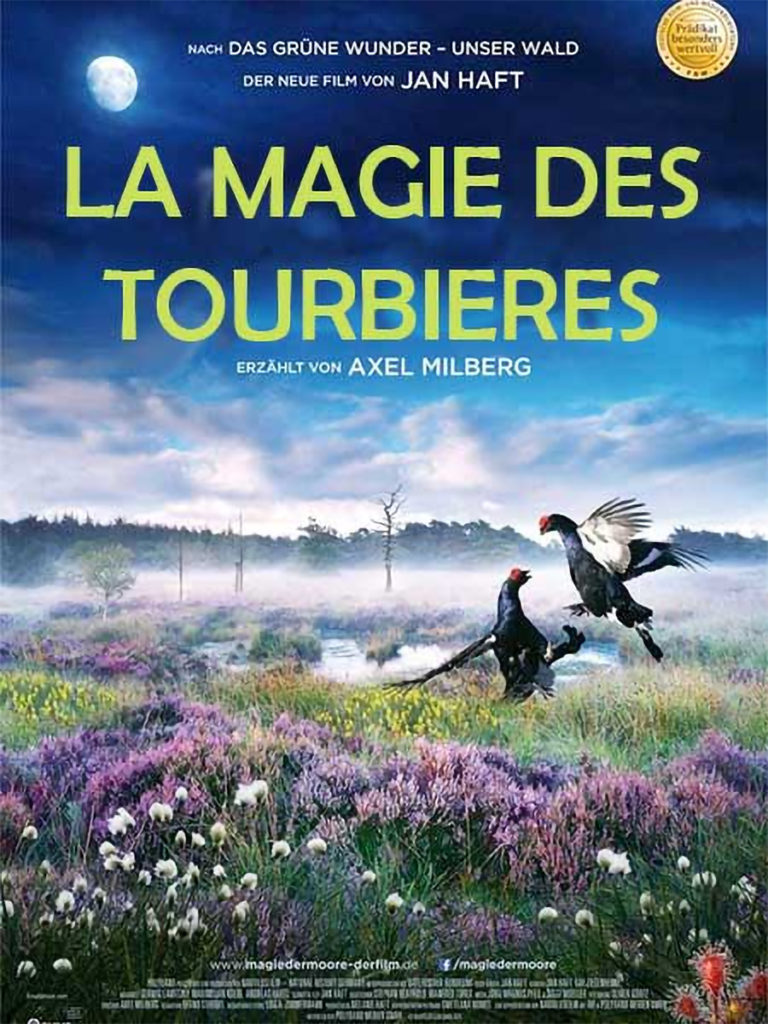 Intermèdes Nature – La Magie des Tourbières