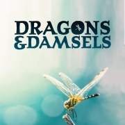 Dragons et demoiseilles-1