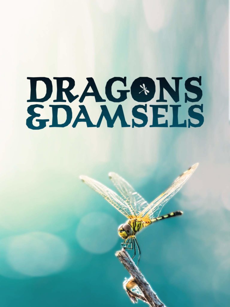 Intermèdes Nature – Dragons et Demoiselles