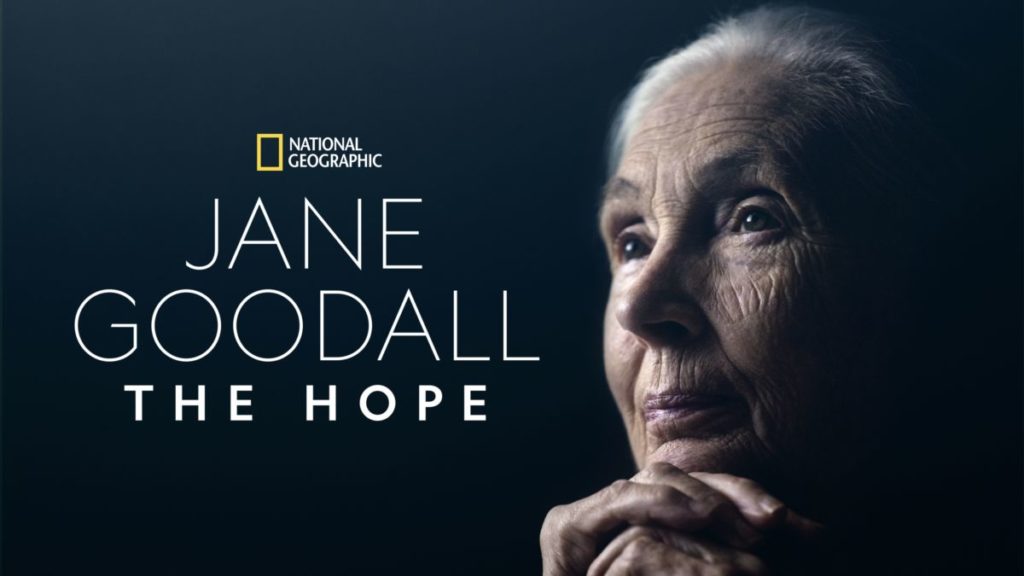 Intermèdes Nature – Jane Goodall : The Hope
