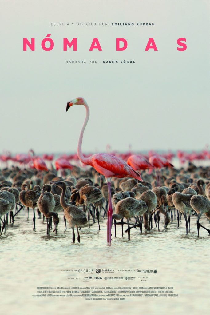 Intermèdes Nature – Nomadas
