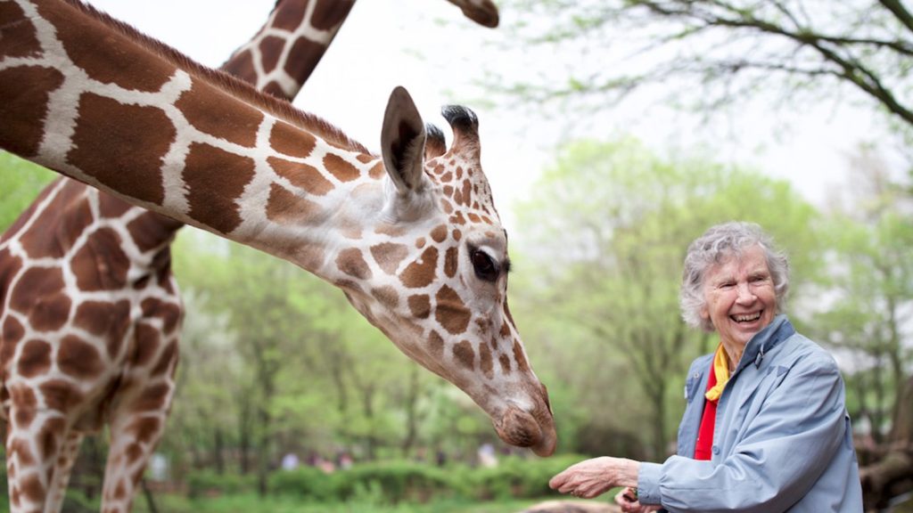 Intermèdes Nature – The Woman who Loves Giraffes