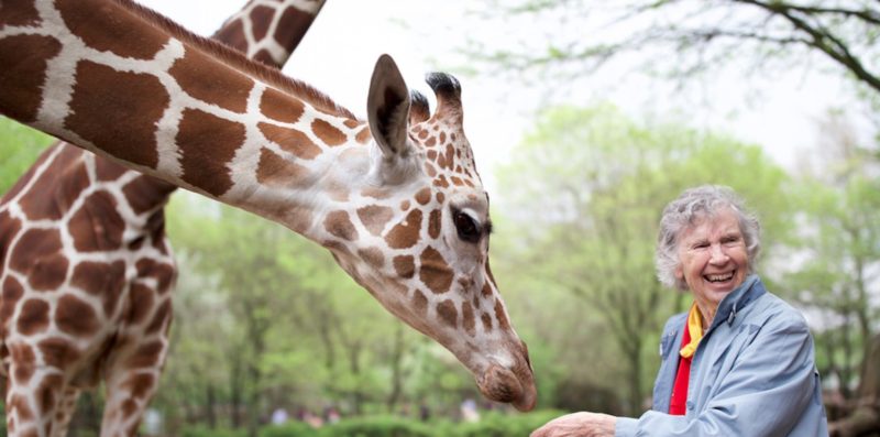 Intermèdes Nature - The Woman who Loves Giraffes-1