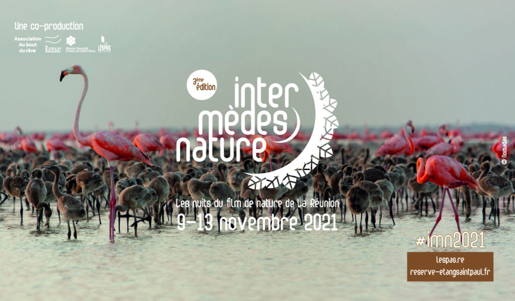 Intermèdes nature #3