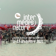 imn3-cover-lespas-100