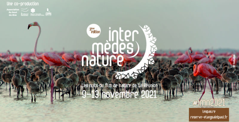 Intermèdes nature #3-1
