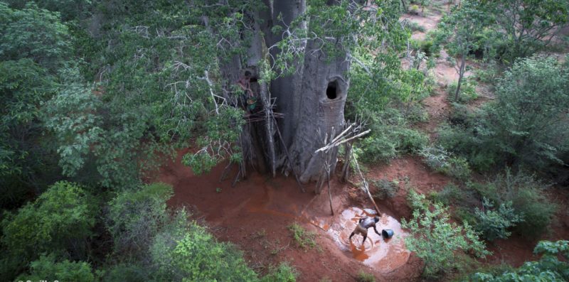 Chez les creuseurs de baobabs, voyage au pays de Za-3