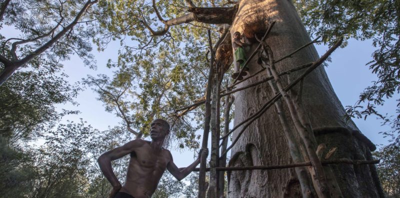 Chez les creuseurs de baobabs, voyage au pays de Za-2