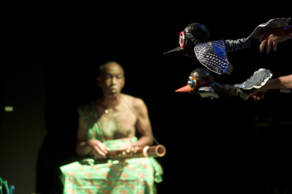 Z’oiseaux rares