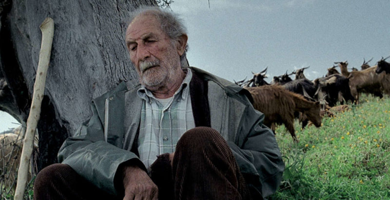 Un réal, un film - Le quattro volte-3