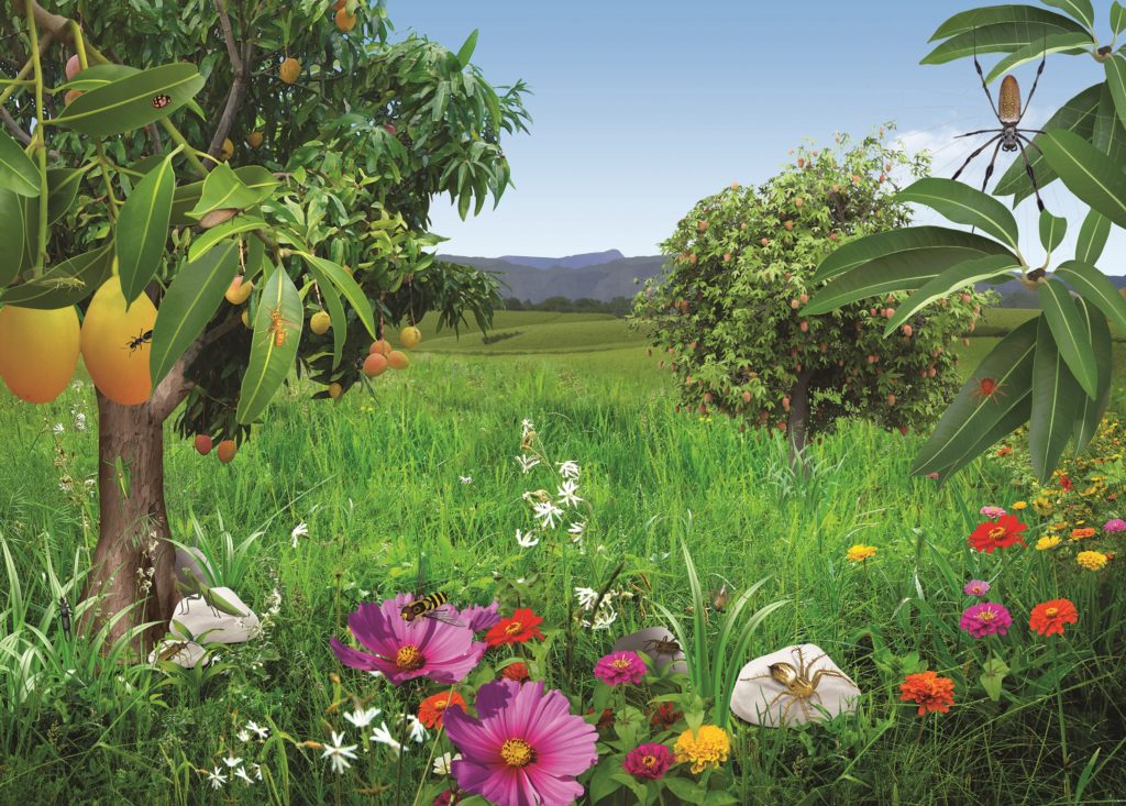 Les amis de nos jardins
