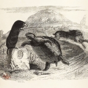 Le lièvre et la tortue - ©Grandville-lespas.jpg