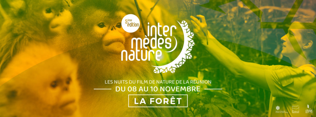 Intermèdes Nature #5 – La forêt