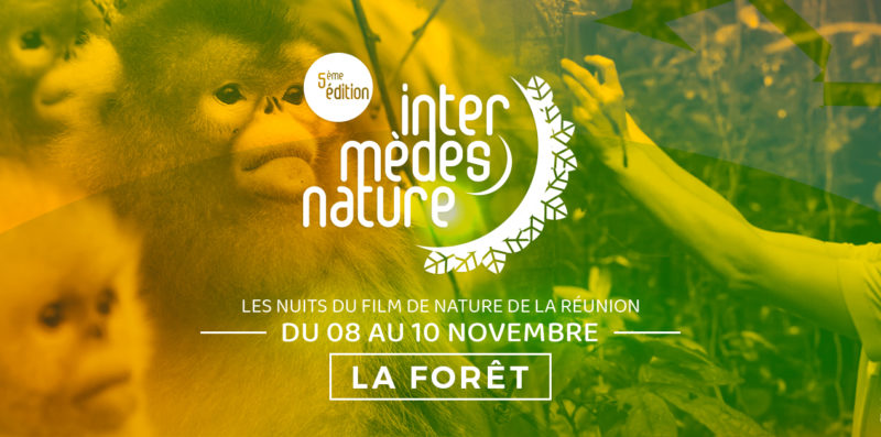 Intermèdes Nature #5 - La forêt-1