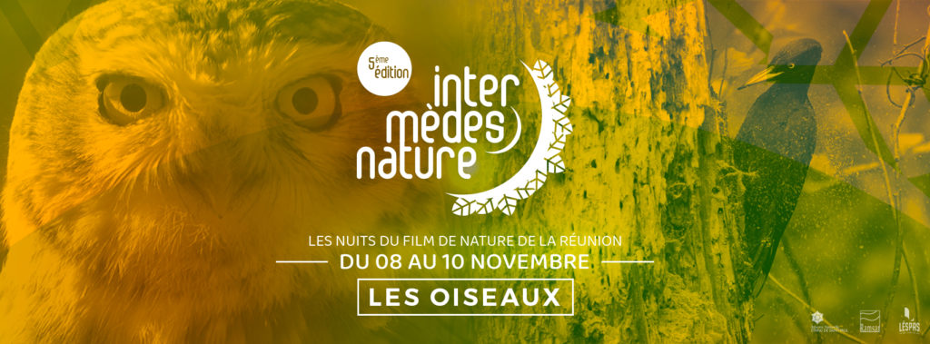 Intermèdes Nature #5 – Les oiseaux