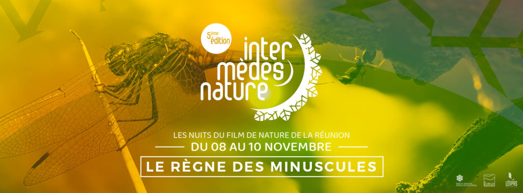 Intermèdes Nature #5 – Le règne des minuscules