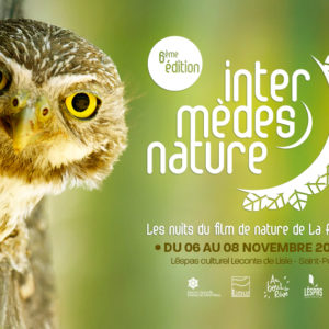 img-Intermèdes Nature #6 - Voyage sauvage