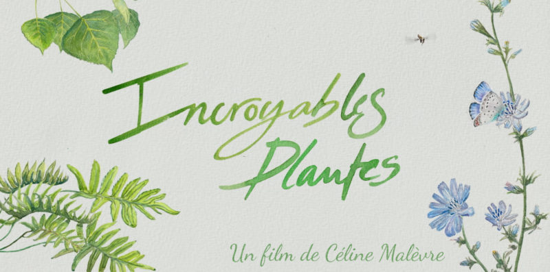 Intermèdes Nature #7 - La résilience du règne végétal-2