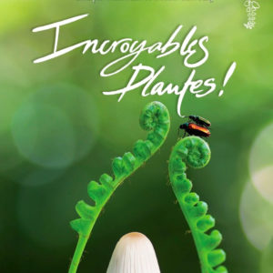 img-Intermèdes Nature #7 - La résilience du règne végétal