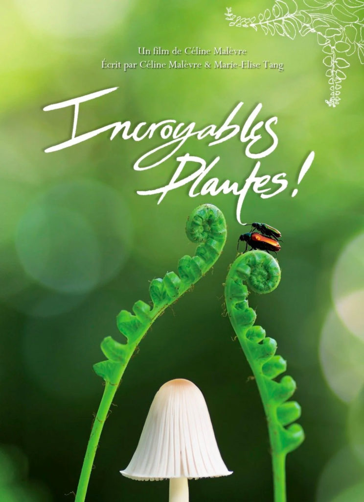 Intermèdes Nature #7 – La résilience du règne végétal