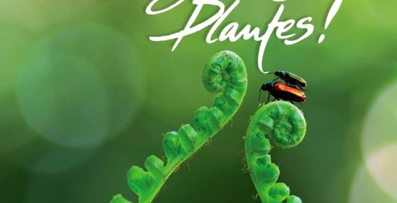 img-Intermèdes Nature #7 - La résilience du règne végétal