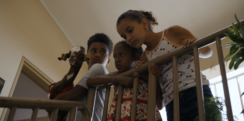 Le Vidéoclub des Cinéastes de La Réunion - Nicolas Sery-3