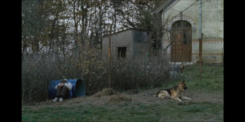 Le vidéoclub des Cinéastes de La Réunion - Benoit Marcel-4