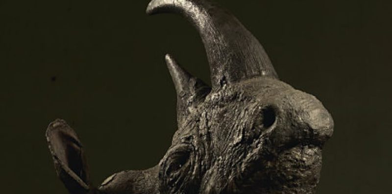 Le vidéoclub des Cinéastes de La Réunion - Benoit Marcel-3