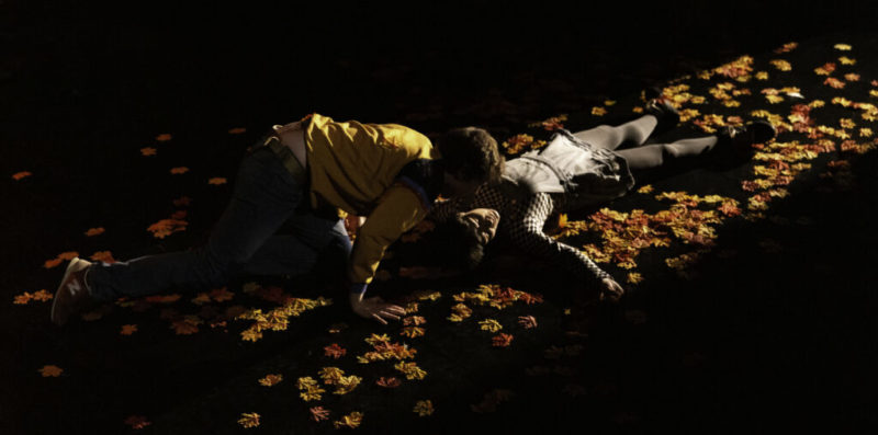 Komidi 2026 – Courgette-2