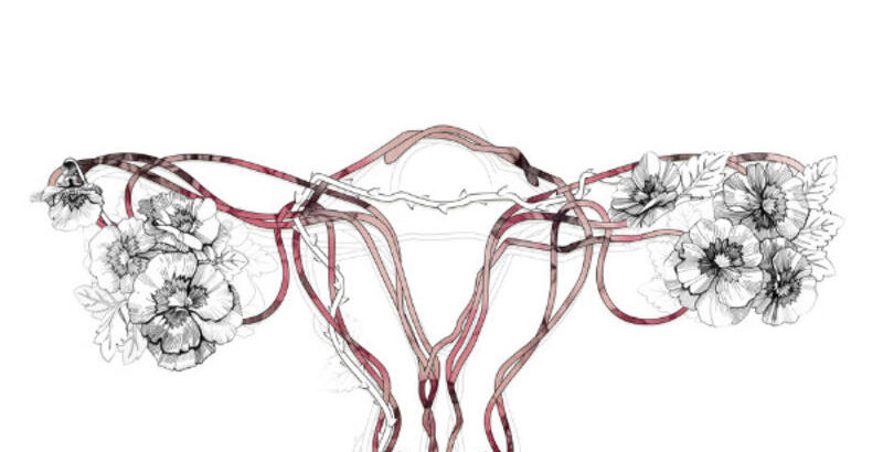 img-[COMPLET] &nbsp;Komidi 2026 – Le choeur des femmes