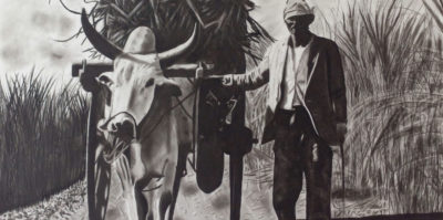 img-Laurent Amolvin - L'ombre en lumière